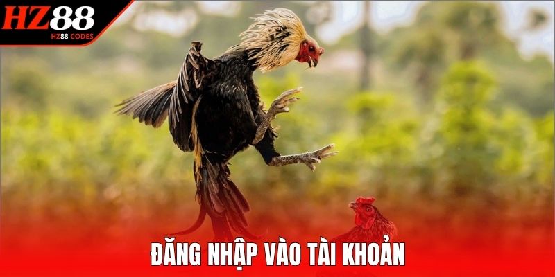 Đăng nhập vào tài khoản 