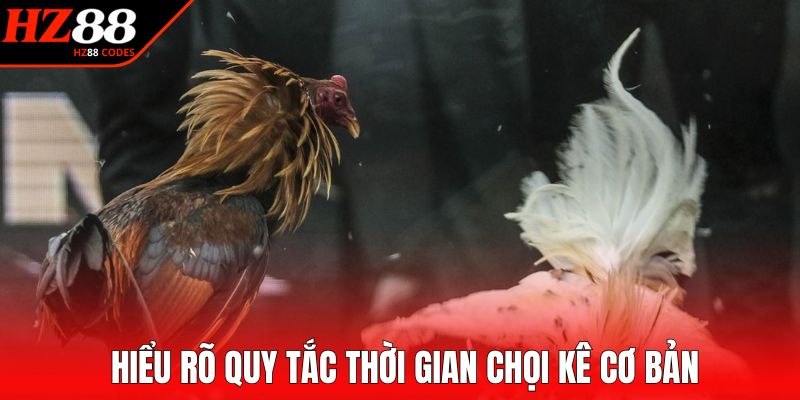 Hiểu rõ quy tắc thời gian chọi kê cơ bản