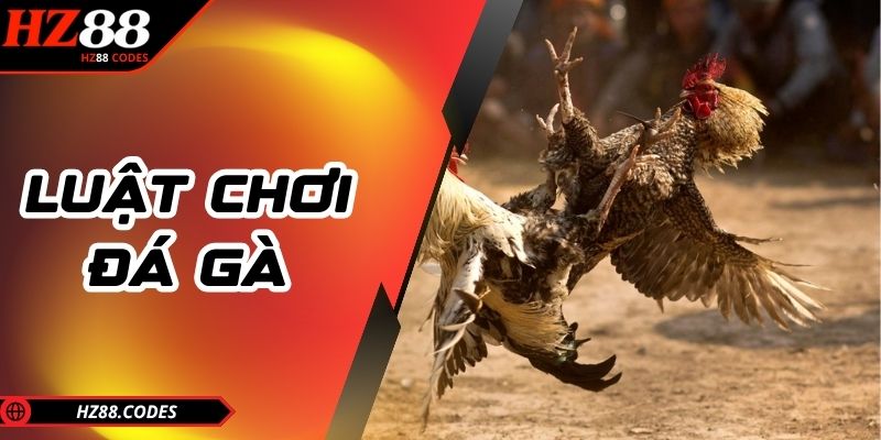 Luật chơi đá gà