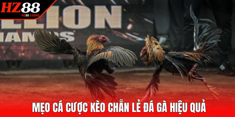 Mẹo cá cược kèo chẵn lẻ đá gà hiệu quả
