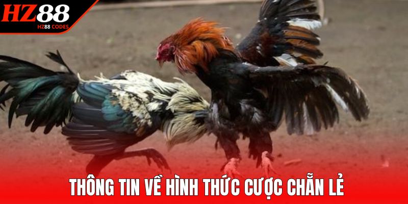 Thông tin cơ bản về hình thức cược chẵn lẻ